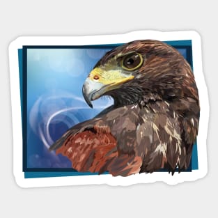 harris hawk Sticker